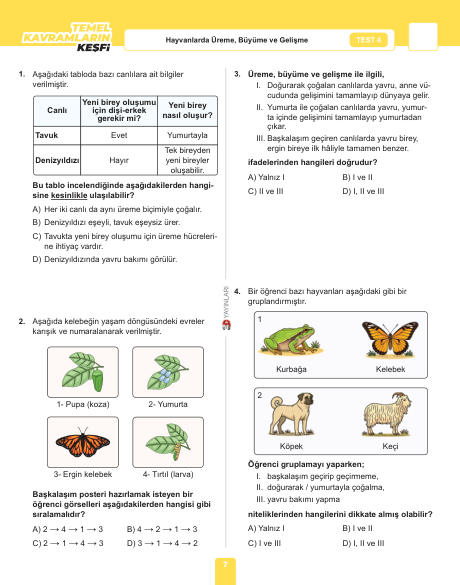 6 Fen Bilimleri SB