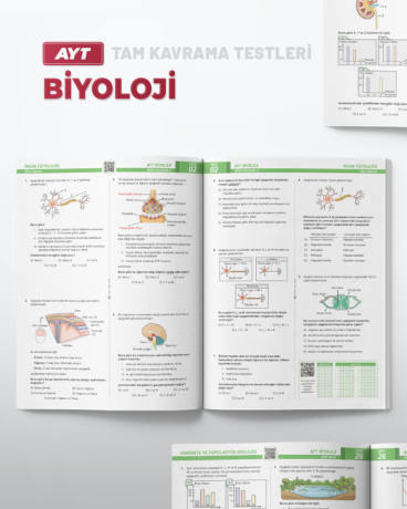 TKT post serisi-AYT 04